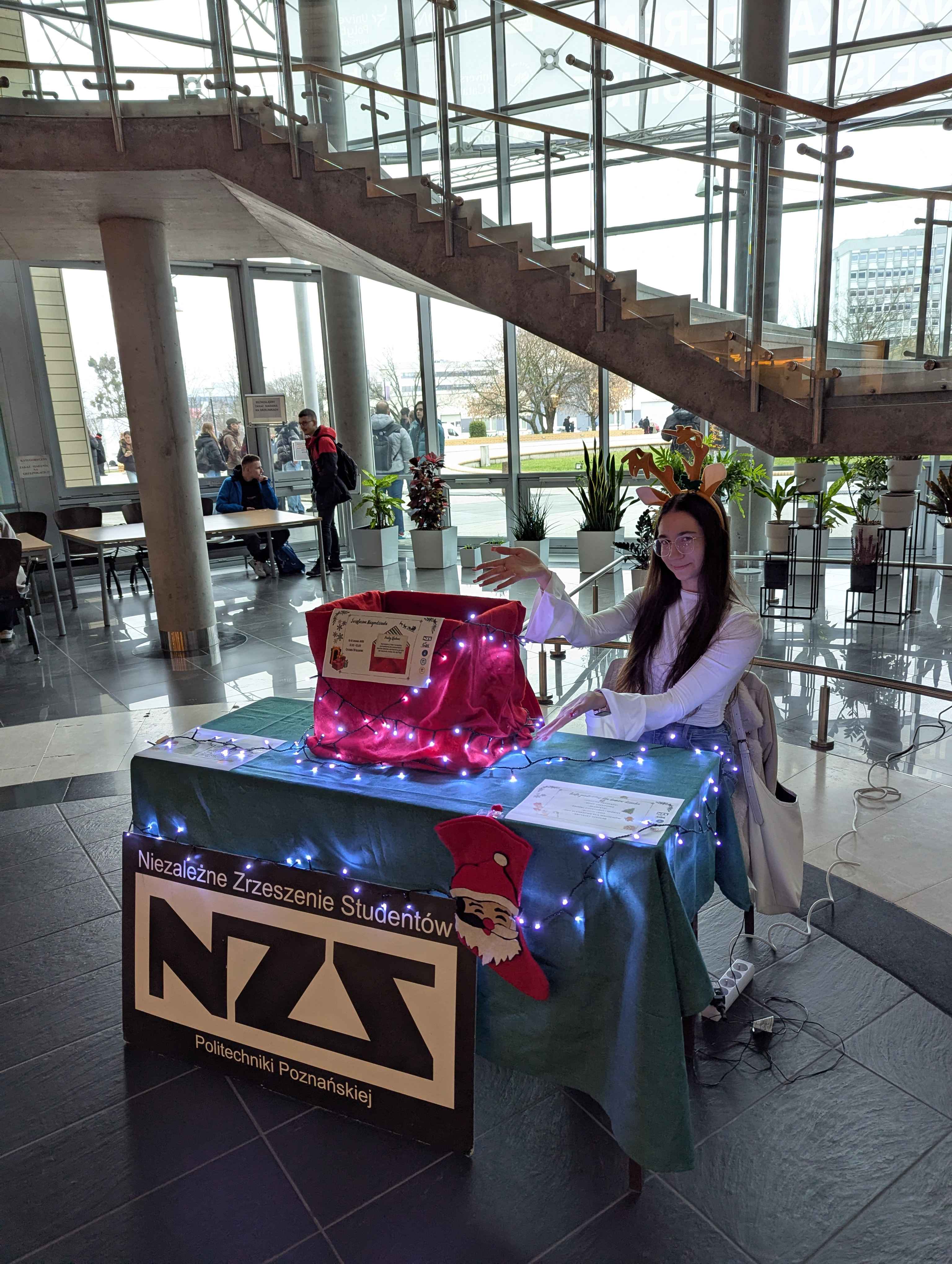 Świąteczna Niespodzianka